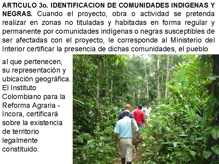 ARTICULO 3 o. IDENTIFICACION DE COMUNIDADES INDIGENAS Y NEGRAS. Cuando el proyecto, obra o