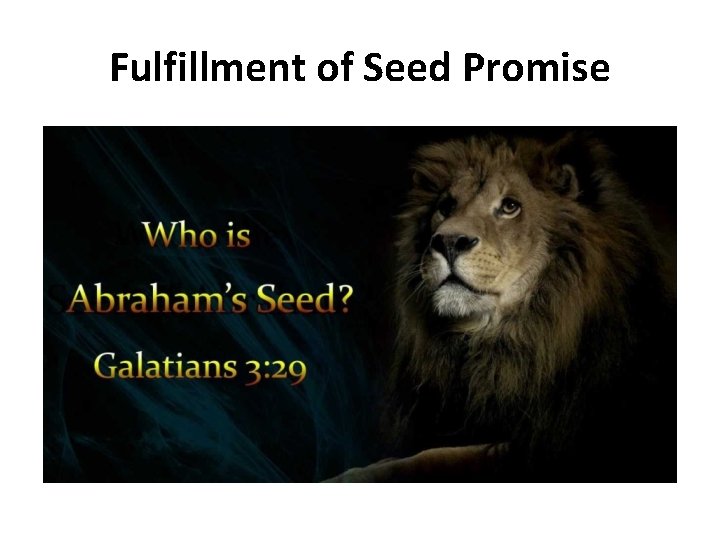 Fulfillment of Seed Promise 