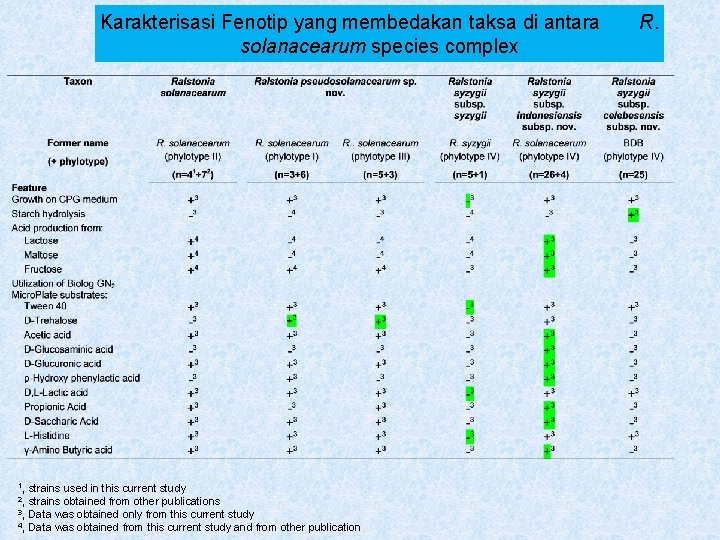 Karakterisasi Fenotip yang membedakan taksa di antara solanacearum species complex 1, strains used in