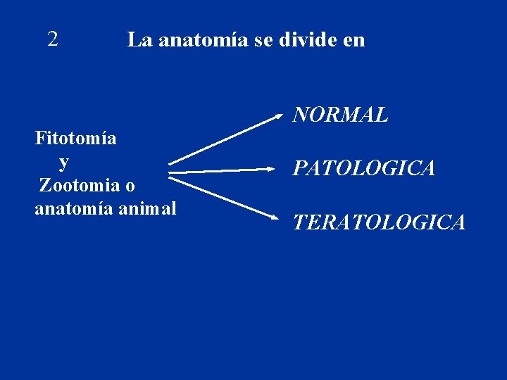 2 La anatomía se divide en NORMAL Fitotomía y Zootomia o anatomía animal PATOLOGICA