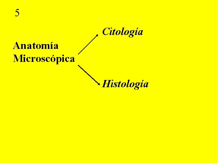 5 Citología Anatomía Microscópica Histología 