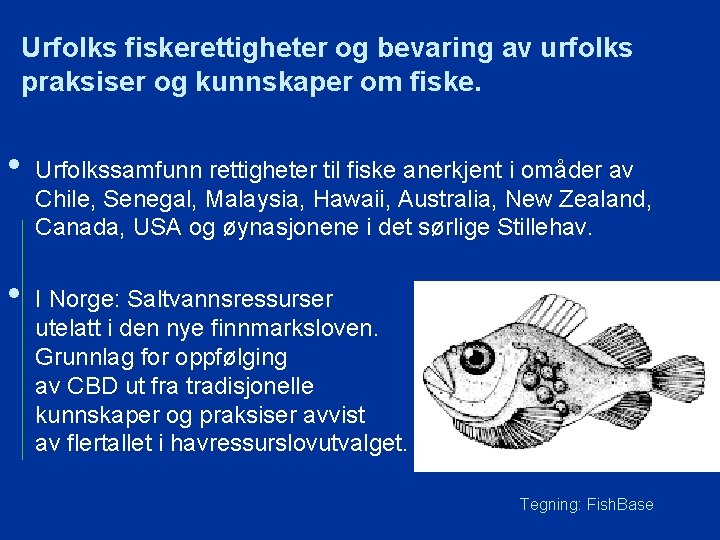 Urfolks fiskerettigheter og bevaring av urfolks praksiser og kunnskaper om fiske. • • Urfolkssamfunn