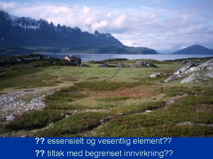 ? ? essensielt og vesentlig element? ? tiltak med begrenset innvirkning? ? 