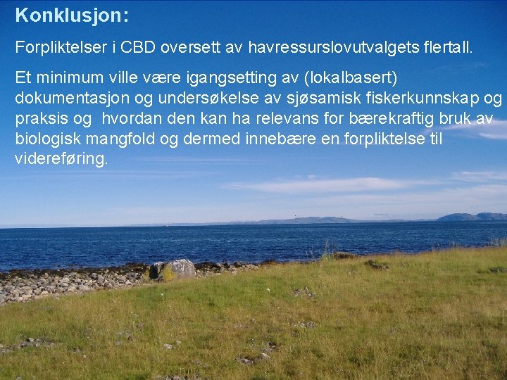 Konklusjon: Forpliktelser i CBD oversett av havressurslovutvalgets flertall. Et minimum ville være igangsetting av