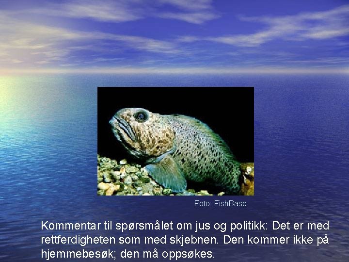 Foto: Fish. Base Kommentar til spørsmålet om jus og politikk: Det er med rettferdigheten