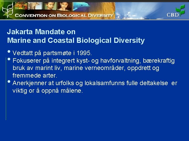 Jakarta Mandate on Marine and Coastal Biological Diversity • Vedtatt på partsmøte i 1995.