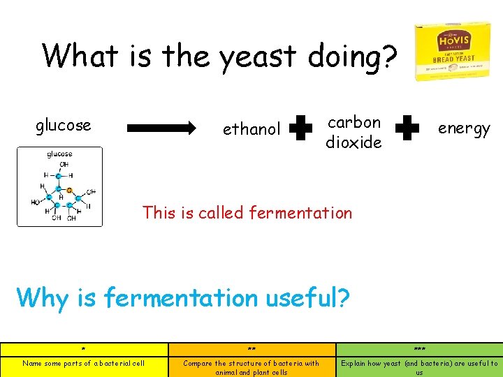 What is the yeast doing? glucose ethanol carbon dioxide energy This is called fermentation