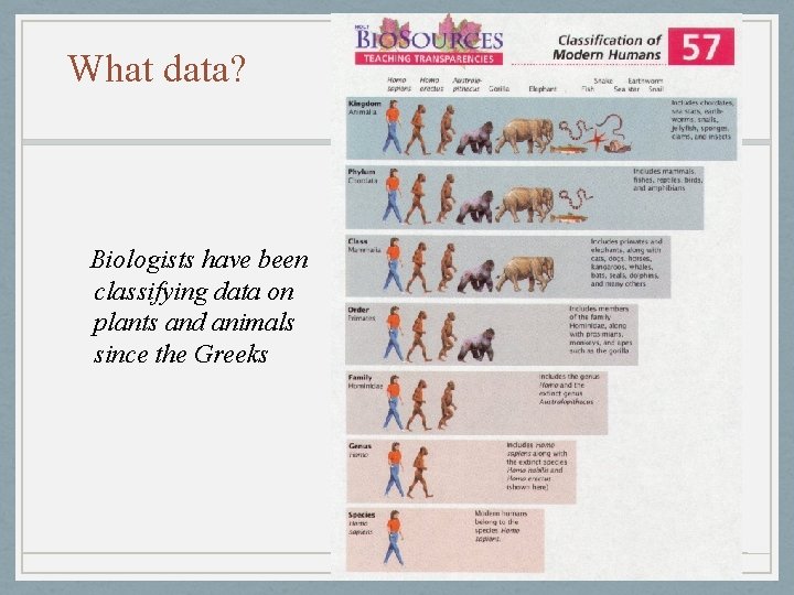 What data? Biologists have been classifying data on plants and animals since the Greeks