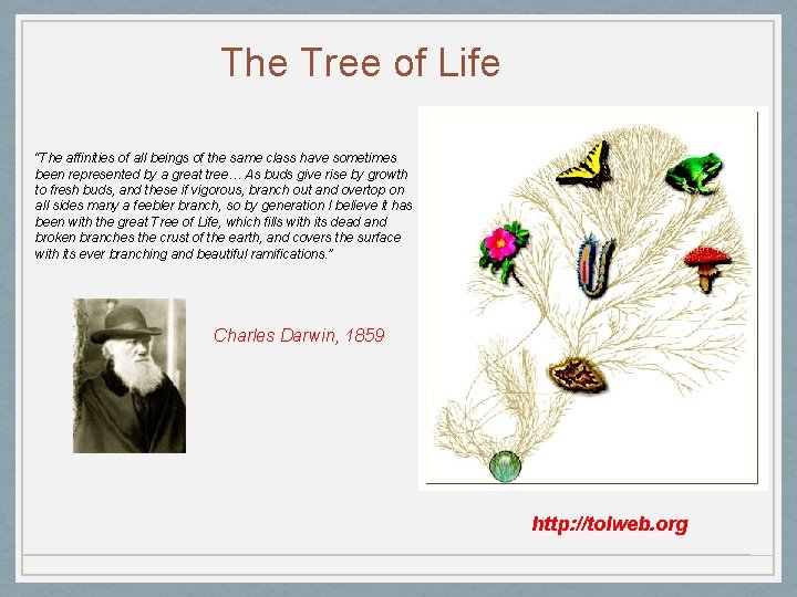 The Tree of Life “The affinities of all beings of the same class have