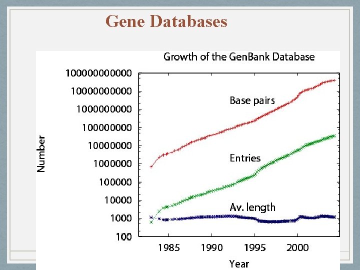 Gene Databases 