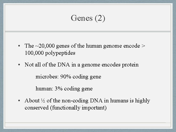 Genes (2) • The ~20, 000 genes of the human genome encode > 100,