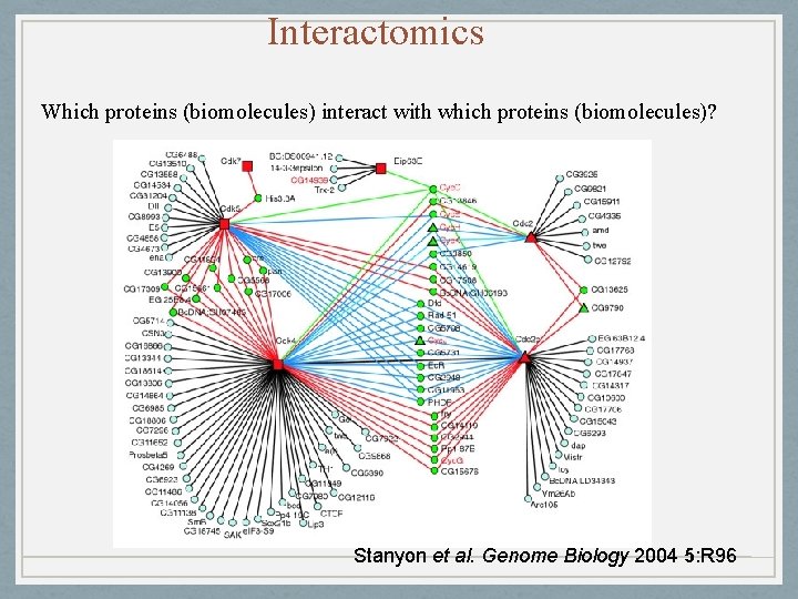 Interactomics Which proteins (biomolecules) interact with which proteins (biomolecules)? Stanyon et al. Genome Biology