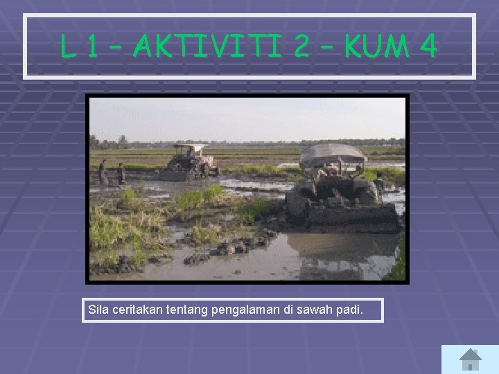 L 1 – AKTIVITI 2 – KUM 4 Sila ceritakan tentang pengalaman di sawah