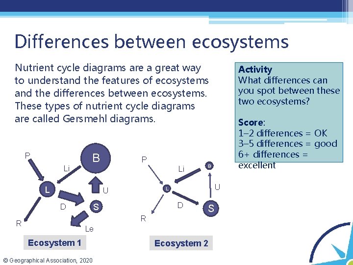 Differences between ecosystems Nutrient cycle diagrams are a great way to understand the features