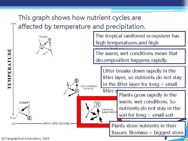 This graph shows how nutrient cycles are affected by temperature and precipitation. The tropical