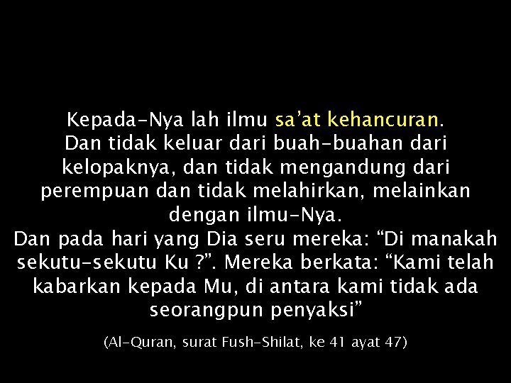 Kepada-Nya lah ilmu sa’at kehancuran. Dan tidak keluar dari buah-buahan dari kelopaknya, dan tidak