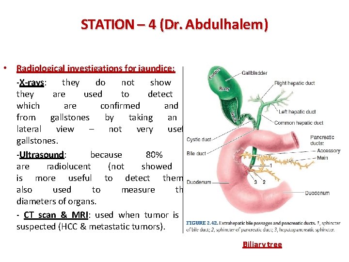 STATION – 4 (Dr. Abdulhalem) • Radiological investigations for jaundice: -X-rays: they do not