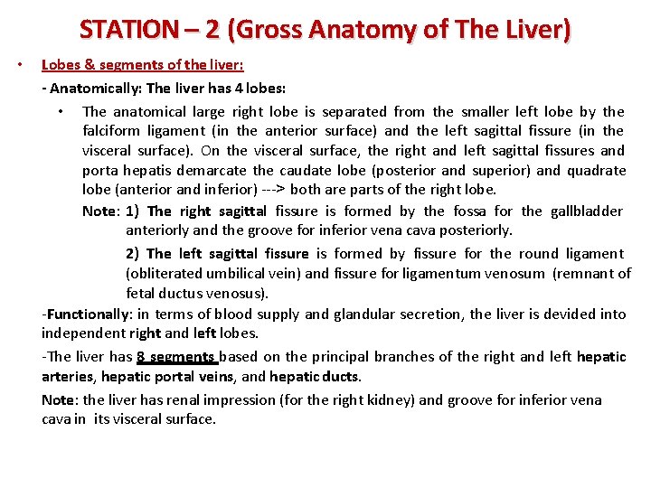 STATION – 2 (Gross Anatomy of The Liver) • Lobes & segments of the