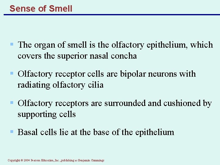 Sense of Smell § The organ of smell is the olfactory epithelium, which covers