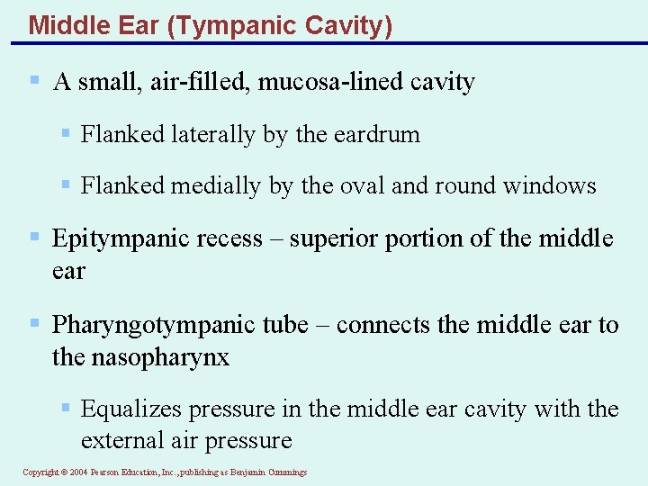 Middle Ear (Tympanic Cavity) § A small, air-filled, mucosa-lined cavity § Flanked laterally by