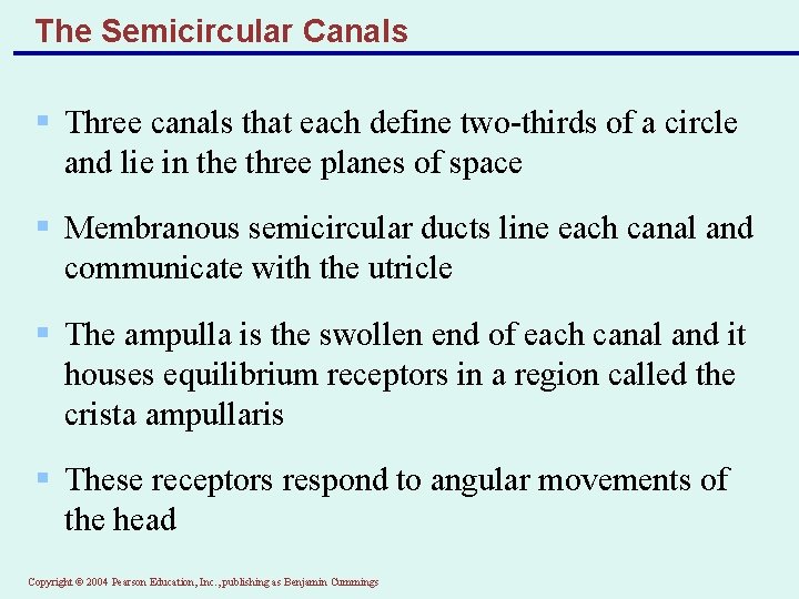 The Semicircular Canals § Three canals that each define two-thirds of a circle and