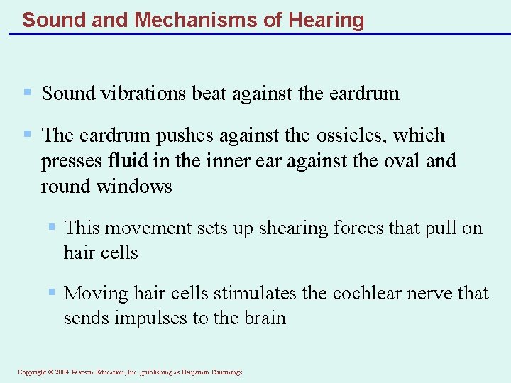 Sound and Mechanisms of Hearing § Sound vibrations beat against the eardrum § The