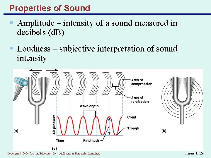 Properties of Sound § Amplitude – intensity of a sound measured in decibels (d.