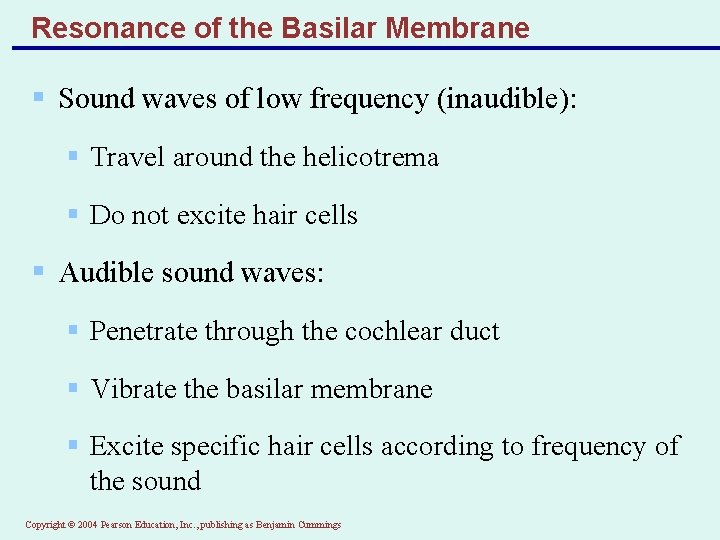 Resonance of the Basilar Membrane § Sound waves of low frequency (inaudible): § Travel