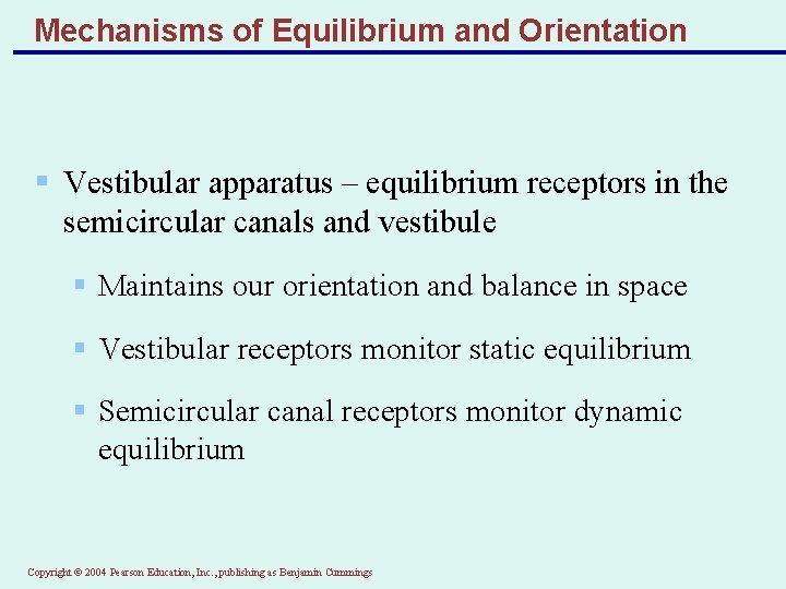Mechanisms of Equilibrium and Orientation § Vestibular apparatus – equilibrium receptors in the semicircular
