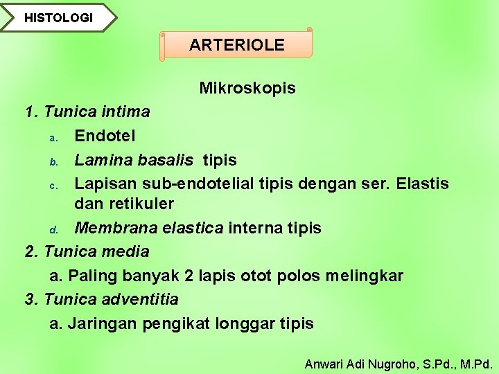 HISTOLOGI ARTERIOLE Mikroskopis 1. Tunica intima a. Endotel b. Lamina basalis tipis c. Lapisan