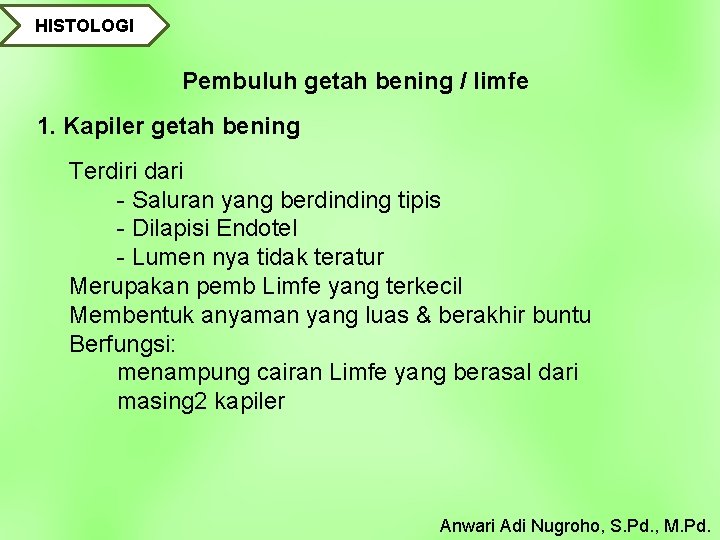 HISTOLOGI Pembuluh getah bening / limfe 1. Kapiler getah bening Terdiri dari - Saluran