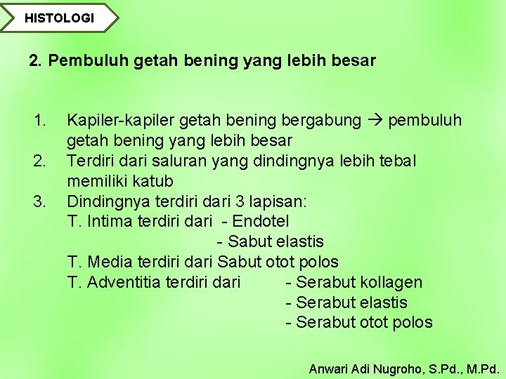 HISTOLOGI 2. Pembuluh getah bening yang lebih besar 1. 2. 3. Kapiler-kapiler getah bening