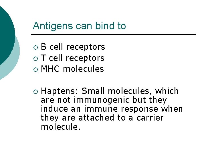 Antigens can bind to B cell receptors ¡ T cell receptors ¡ MHC molecules