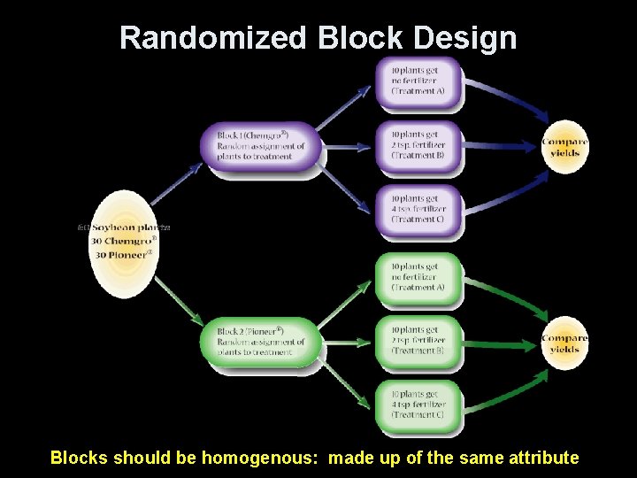 Randomized Block Design Blocks should be homogenous: made up of the same attribute 