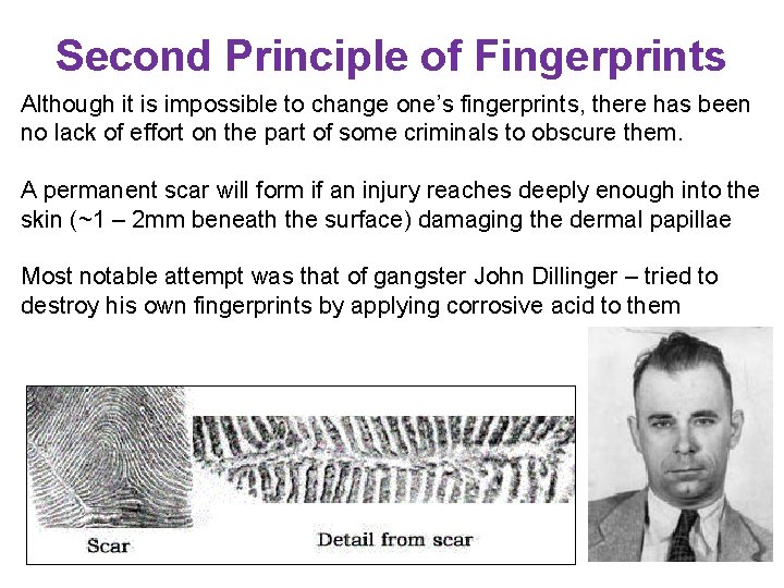 Second Principle of Fingerprints Although it is impossible to change one’s fingerprints, there has