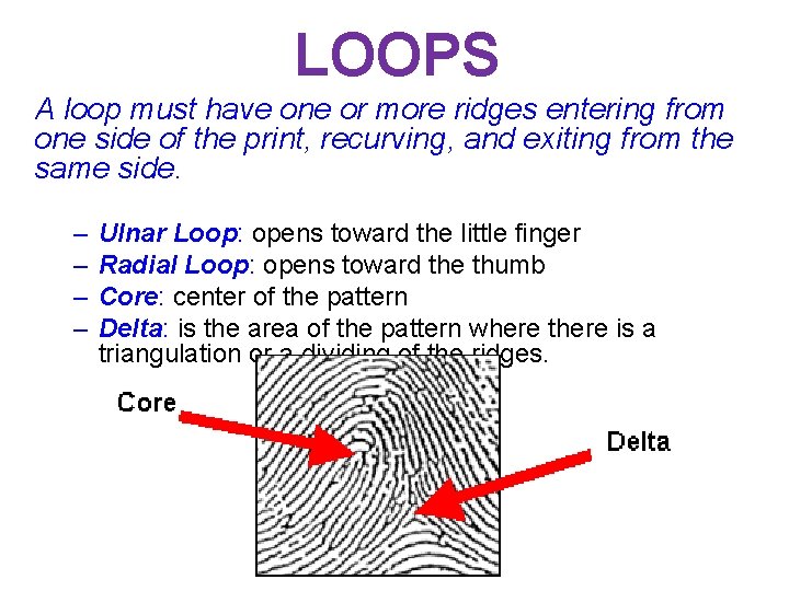 LOOPS A loop must have one or more ridges entering from one side of