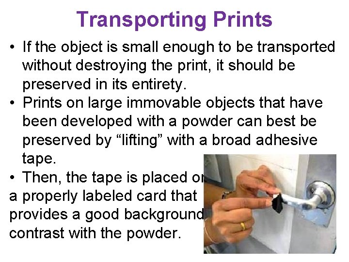 Transporting Prints • If the object is small enough to be transported without destroying