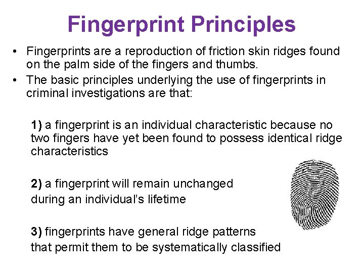 Fingerprint Principles • Fingerprints are a reproduction of friction skin ridges found on the