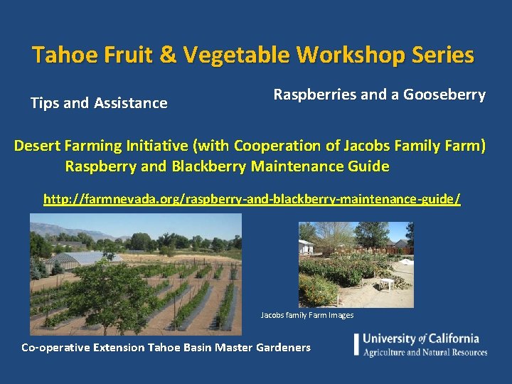 Tahoe Fruit & Vegetable Workshop Series Tips and Assistance Raspberries and a Gooseberry Desert