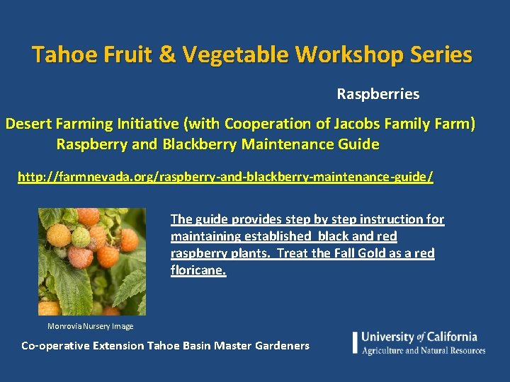 Tahoe Fruit & Vegetable Workshop Series Raspberries Desert Farming Initiative (with Cooperation of Jacobs