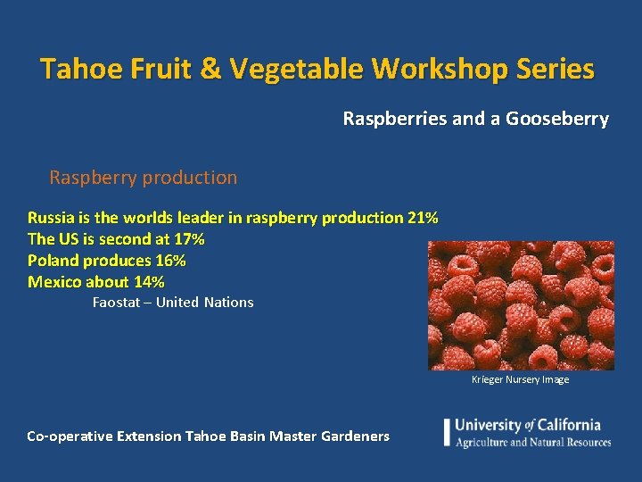 Tahoe Fruit & Vegetable Workshop Series Raspberries and a Gooseberry Raspberry production Russia is