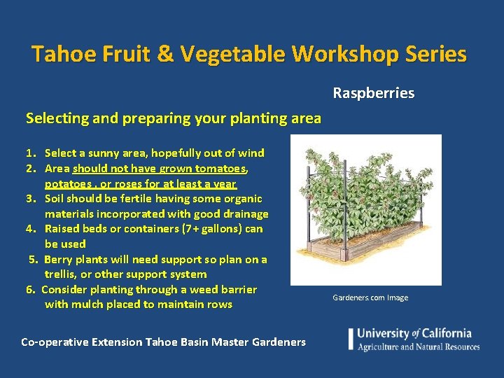 Tahoe Fruit & Vegetable Workshop Series Raspberries Selecting and preparing your planting area 1.