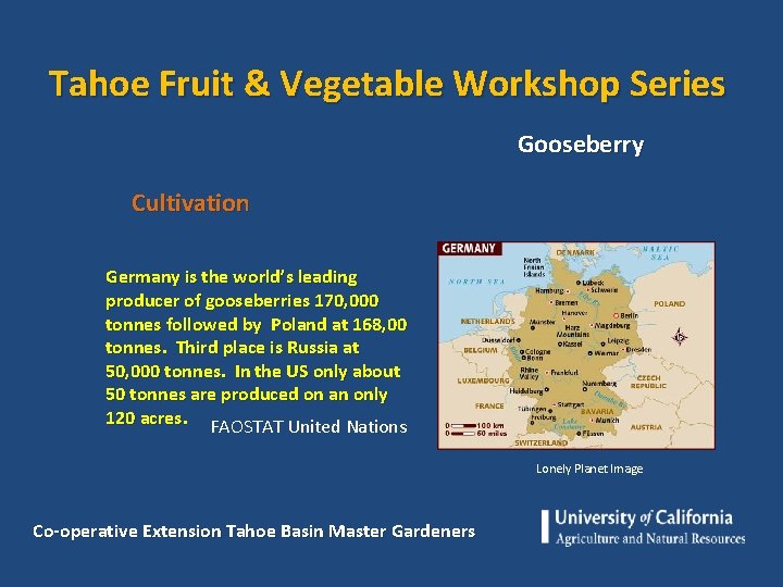 Tahoe Fruit & Vegetable Workshop Series Gooseberry Cultivation Germany is the world’s leading producer