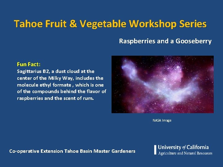 Tahoe Fruit & Vegetable Workshop Series Raspberries and a Gooseberry Fun Fact: Sagittarius B