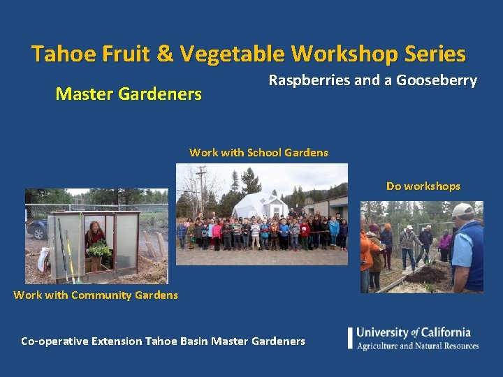 Tahoe Fruit & Vegetable Workshop Series Master Gardeners Raspberries and a Gooseberry Work with