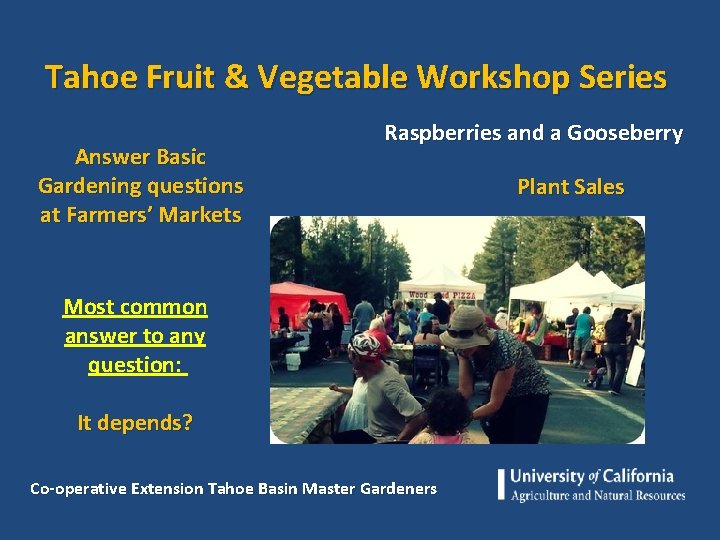 Tahoe Fruit & Vegetable Workshop Series Answer Basic Gardening questions at Farmers’ Markets Raspberries