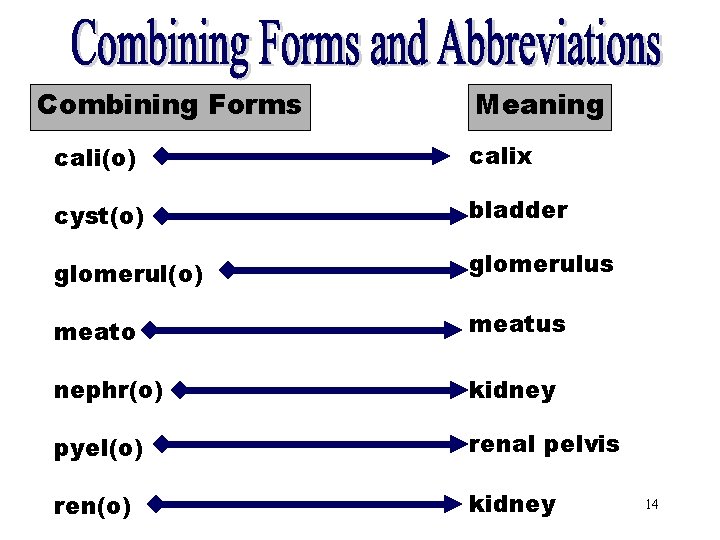 Combining Forms and Combining Forms Meaning Abbreviations cali(o) calix cyst(o) bladder glomerul(o) glomerulus meato