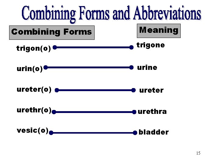 Combining Forms Meaning [trigon(o)] trigon(o) trigone urin(o) urine ureter(o) ureter urethr(o) urethra vesic(o) bladder