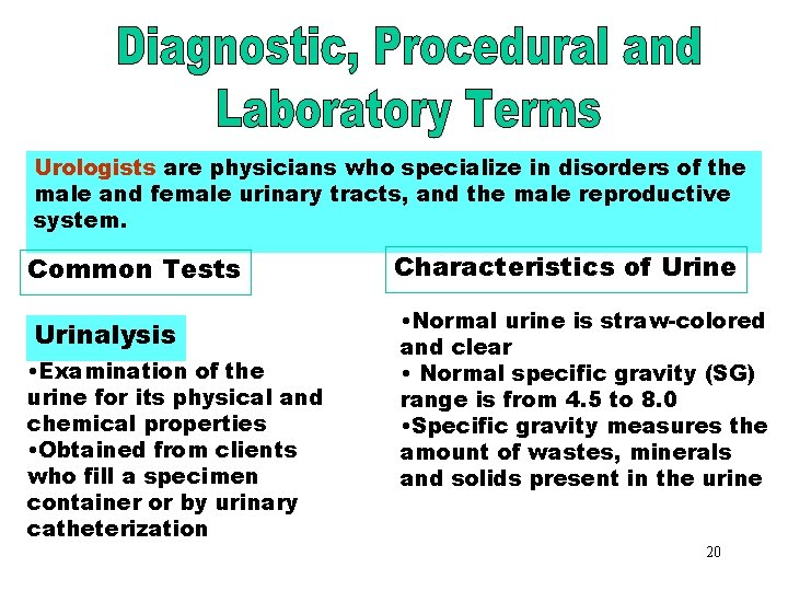 Diagnostic, Procedural & Laboratory Terms Urologists are physicians who specialize in disorders of the Diagnostic, Procedural & Laboratory Terms Urologists are physicians who specialize in disorders of the