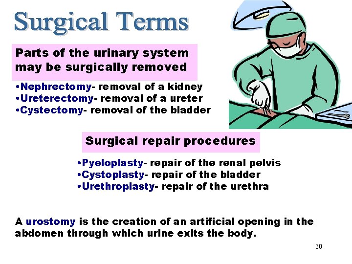 Surgical Terms Parts of the urinary system may be surgically removed • Nephrectomy- removal